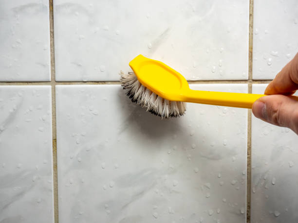 Best Black Mold Removal  in New Kensington, PA